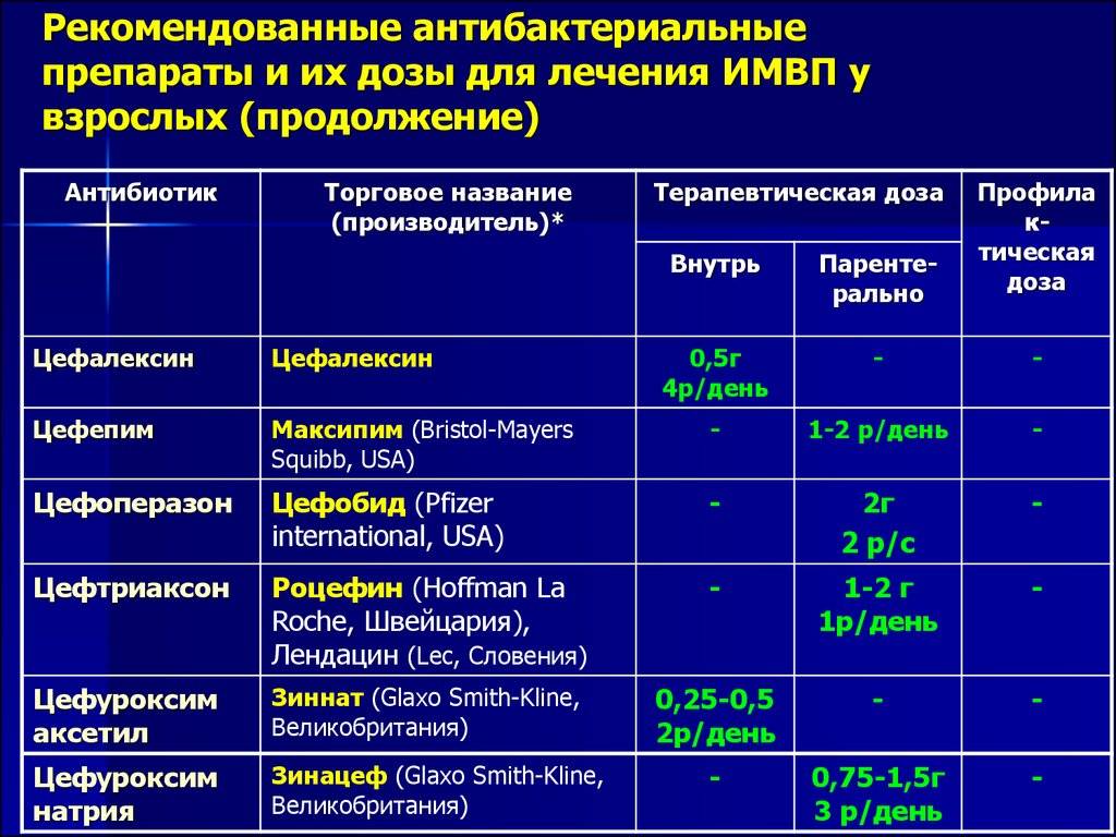Виды антибиотиков для кошек и правила их применения