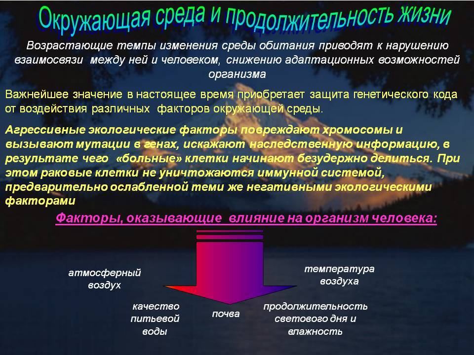 Лабрадоры: продолжительность жизни и причины ранней смерти
