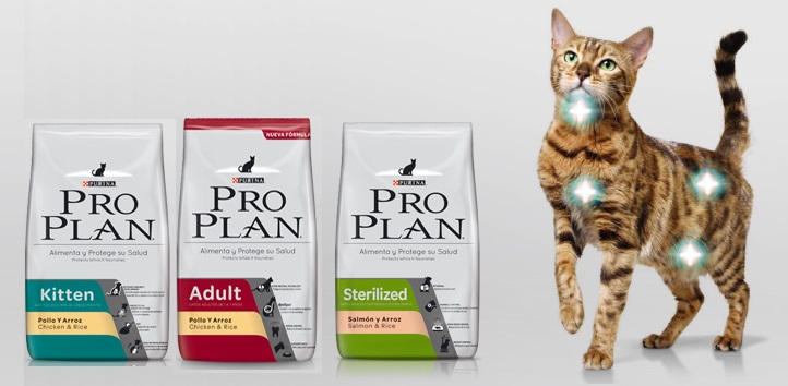 Корм для кошек проплан (pro plan): отзывы ветеринаров и владельцев, состав +видео