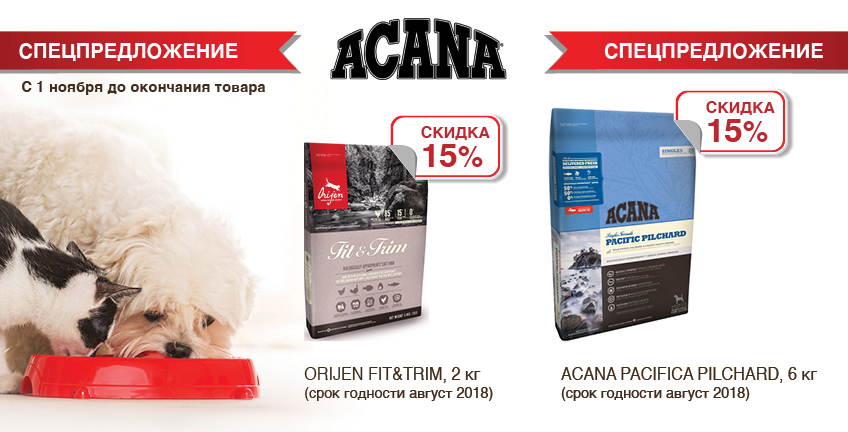 Корма для собак acana (акана) | ваши питомцы
