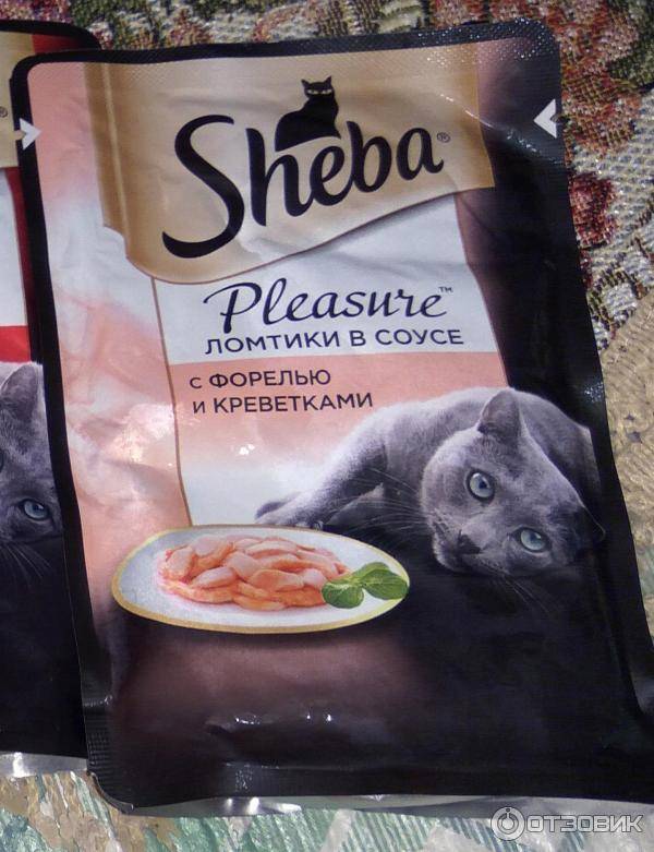 Обзор корма для кошек шеба (sheba): виды, состав, отзывы