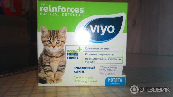 Пробиотики для кошек: список самых популярных марок