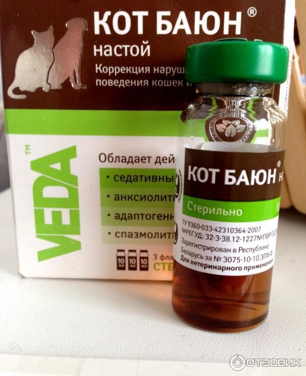 Рейтинг лучших снотворных и успокоительных средств для кошек на 2023 год