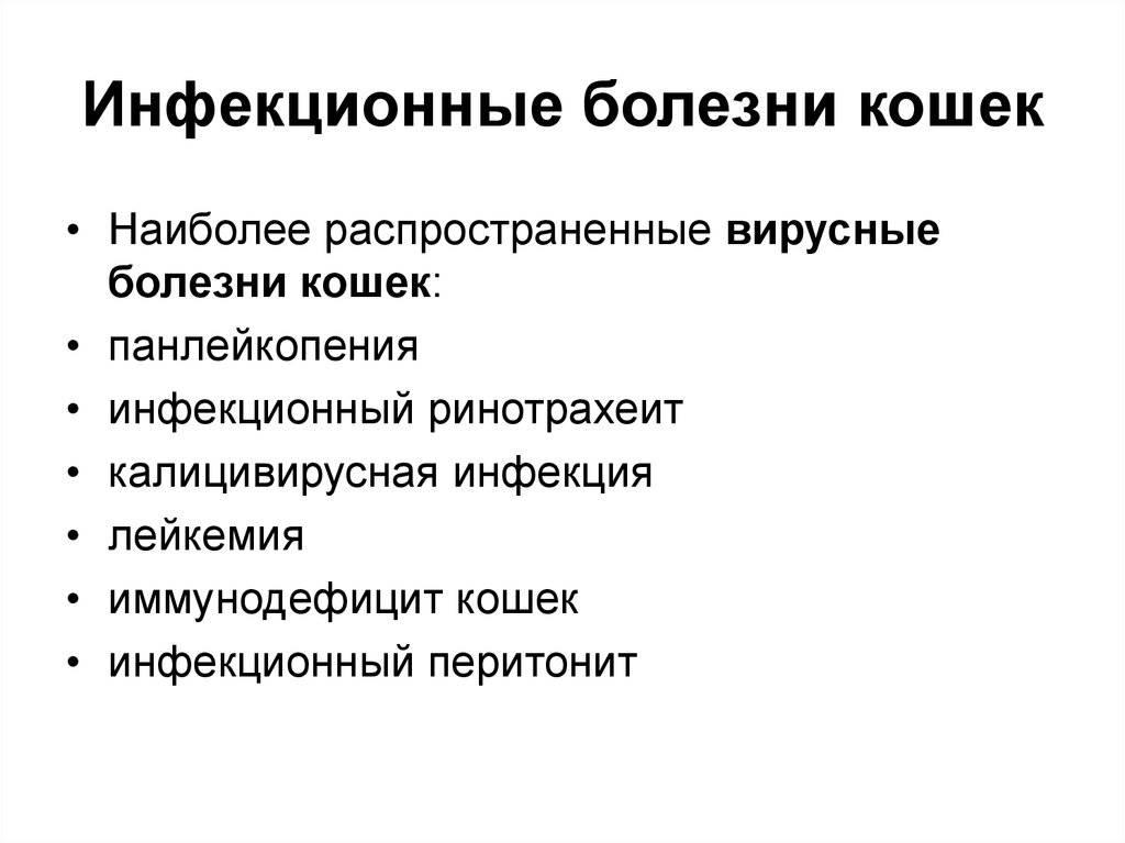 Кошки, болезни кошек, описание симптомов болезней, способы лечения
