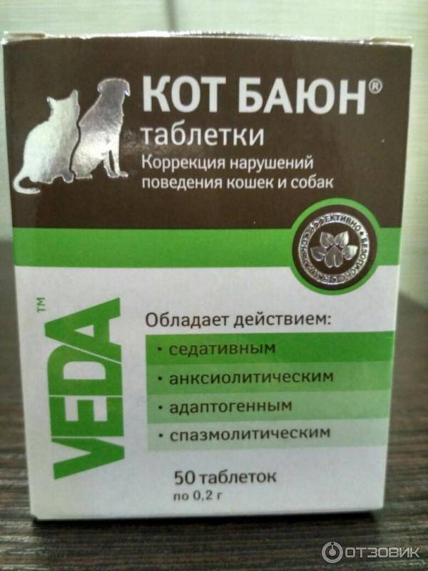 Успокоительные капли и таблетки для котят и взрослых кошек при стрессе и агрессии: какие средства можно дать животному?