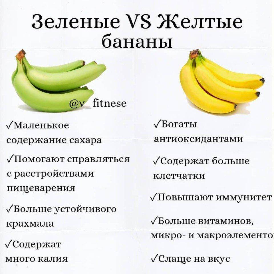 Чем кормить кошку в домашних условиях, натуральной едой, что можно и чего нельзя давать питомцу?