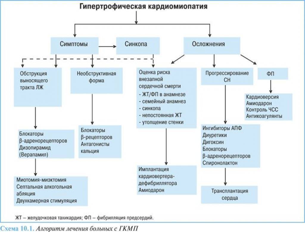 6 симптомов кардиомиопатии у кошек - как лечить