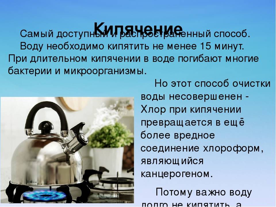 Можно ли давать кипяченую воду хомякам