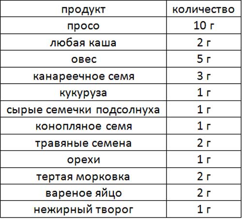 Чем можно кормить попугаев неразлучников