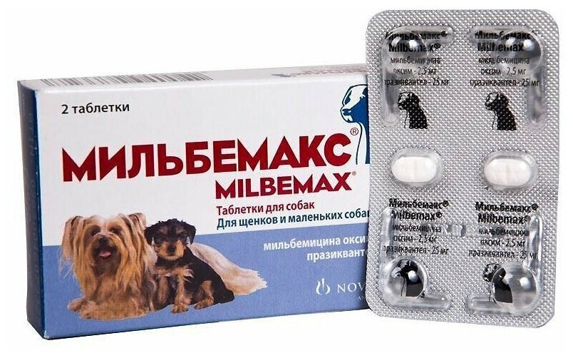 Мильбемакс для собак: инструкция по применению, дозировка, аналоги