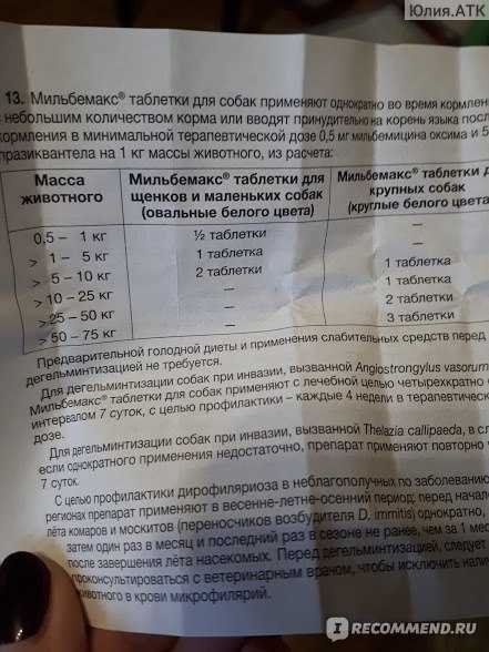 Лоратадин от аллергии на кошек: можно ли принимать детям, дозировка и противопоказания