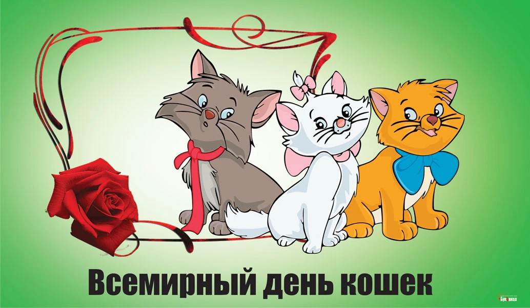 Всемирный день кошек: 1 марта и не только