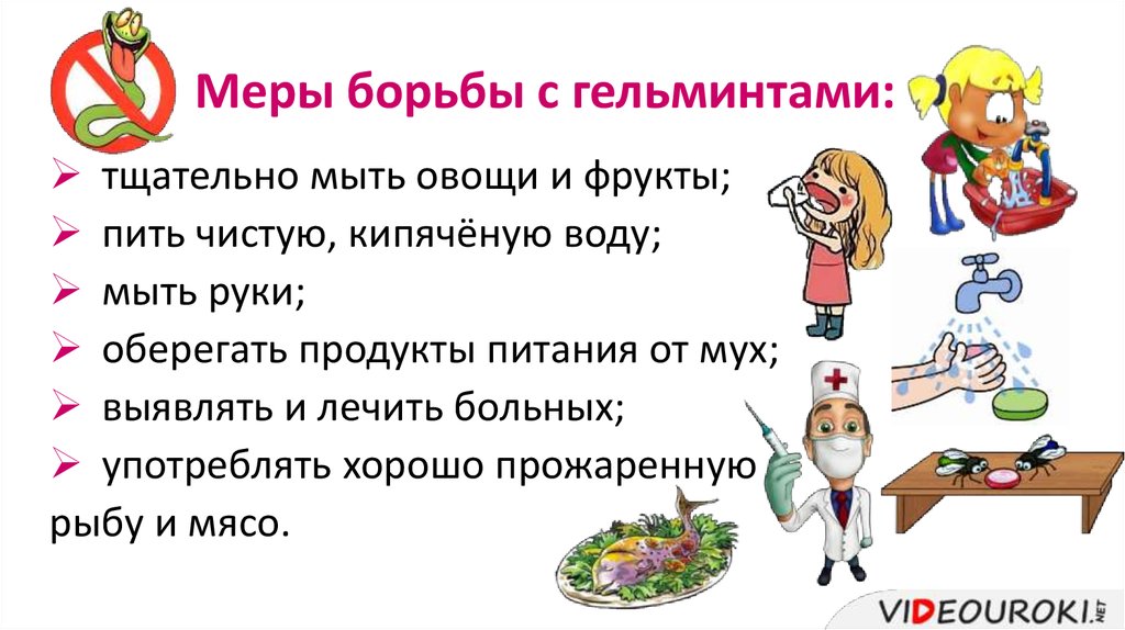 Клещи у попугаев, лечение в домашних условиях. препараты