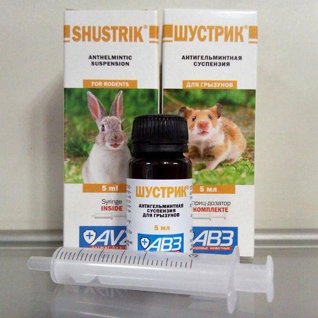 Глисты у кроликов: симптомы и лечение