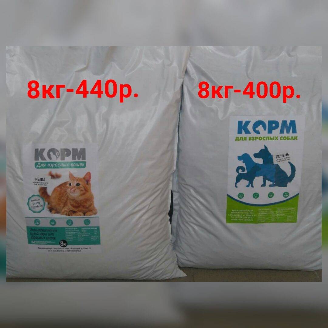 Корм эконом класса для кошек – характеристика, рейтинг, отзывы