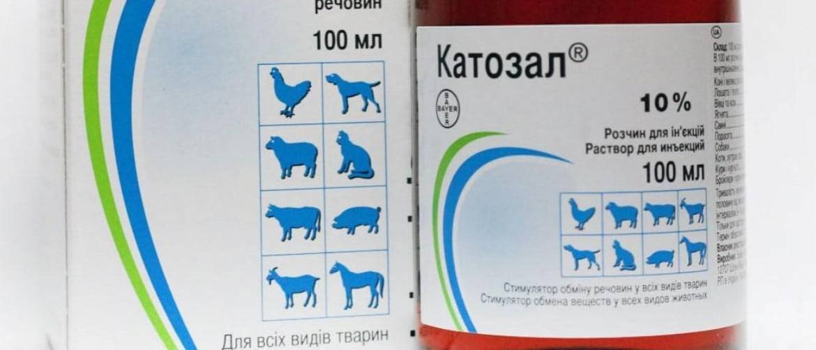 Катозал для кошек: инструкция по применению и отзывы о препарате