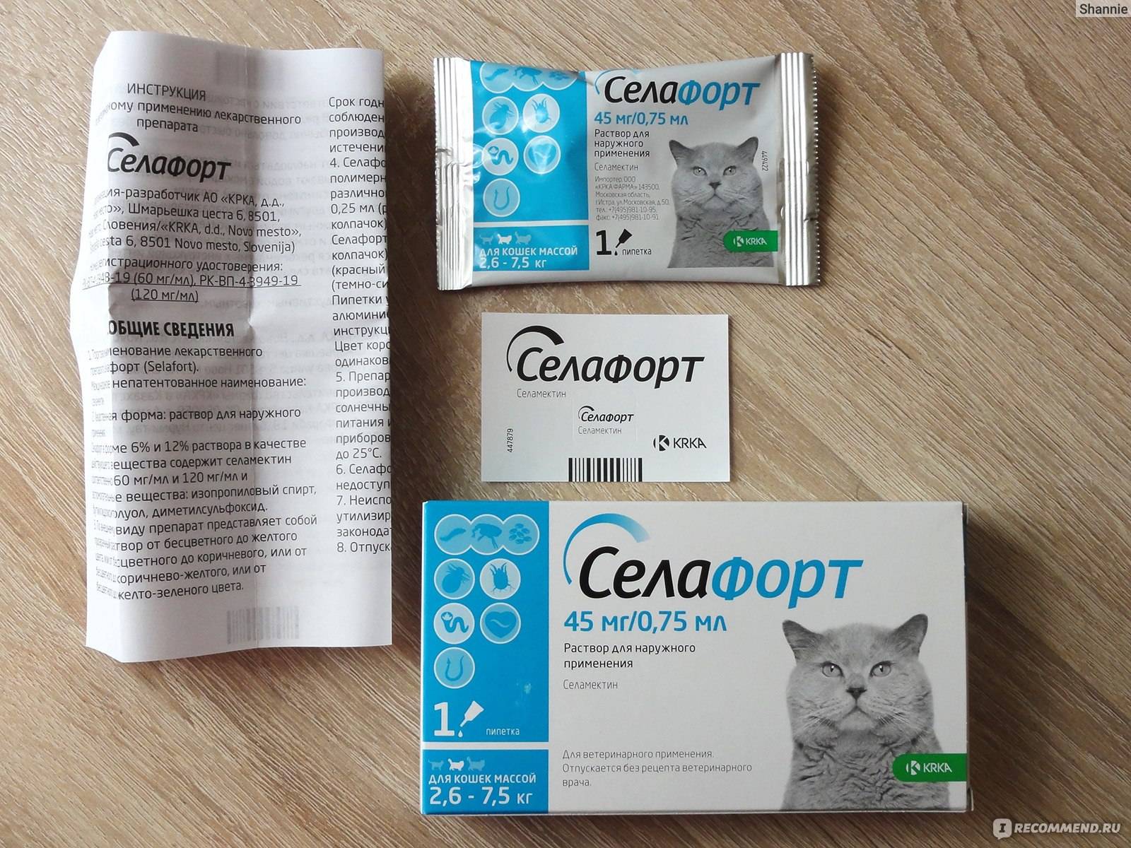 Антисекс для кошек: противозачаточные таблетки, капли, уколы от гуляния