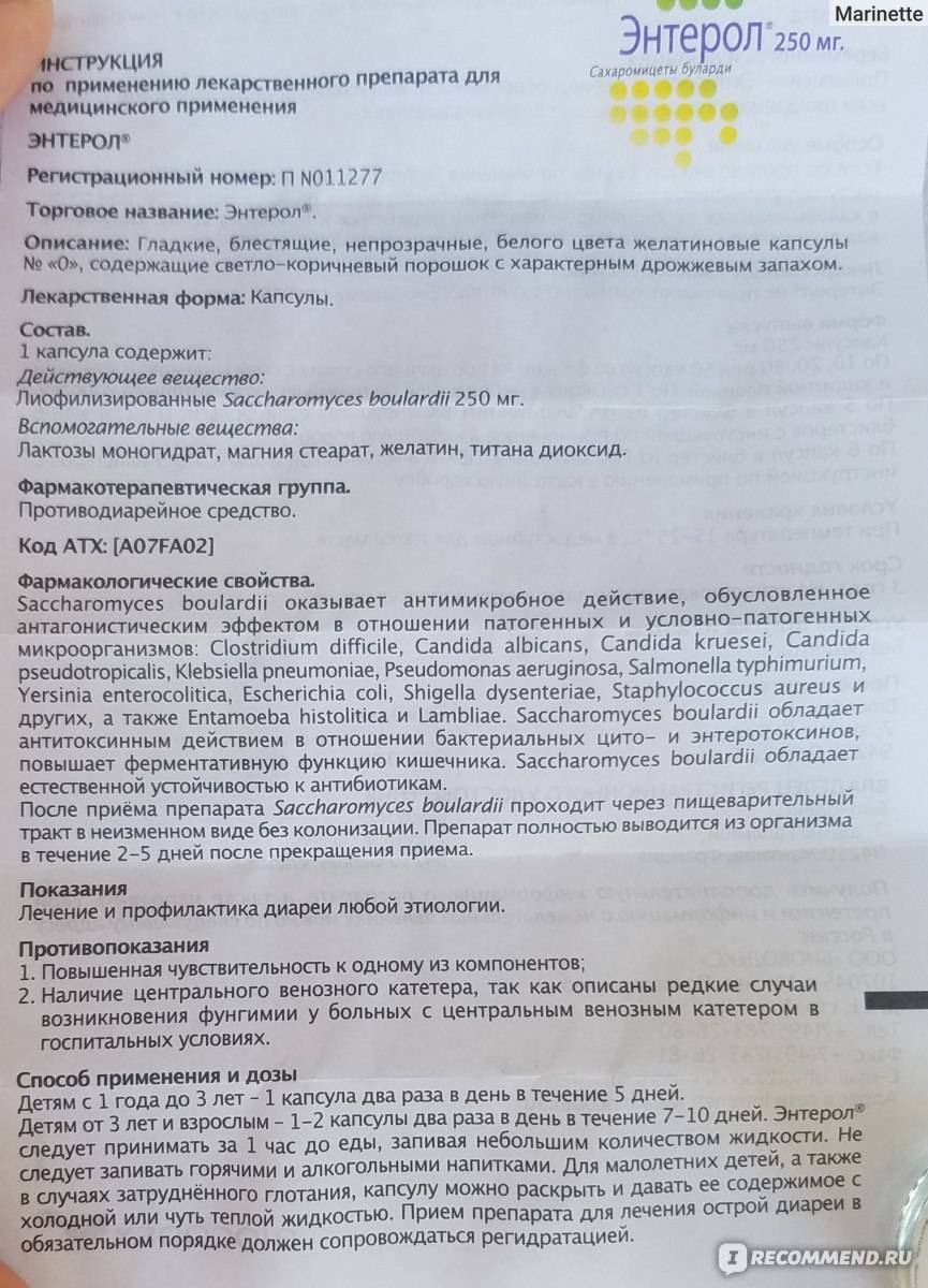 Что дать коту от поноса дома: лекарство, симптомы