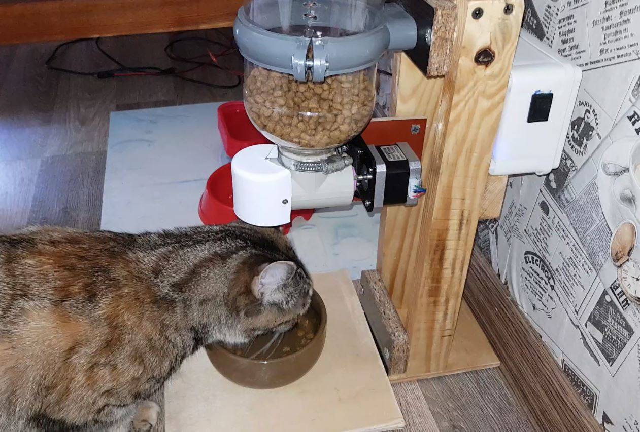 Автоматическая кормушка для кошек