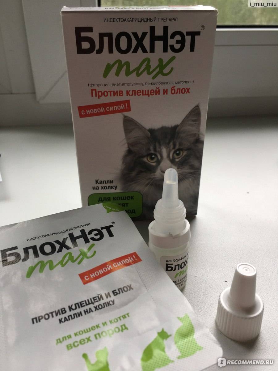 Обзор эффективных средств, капель, таблеток против блох для кошки