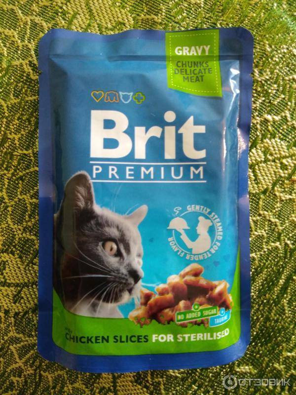 Сухой корм для кошек brit care: отзывы ветеринаров