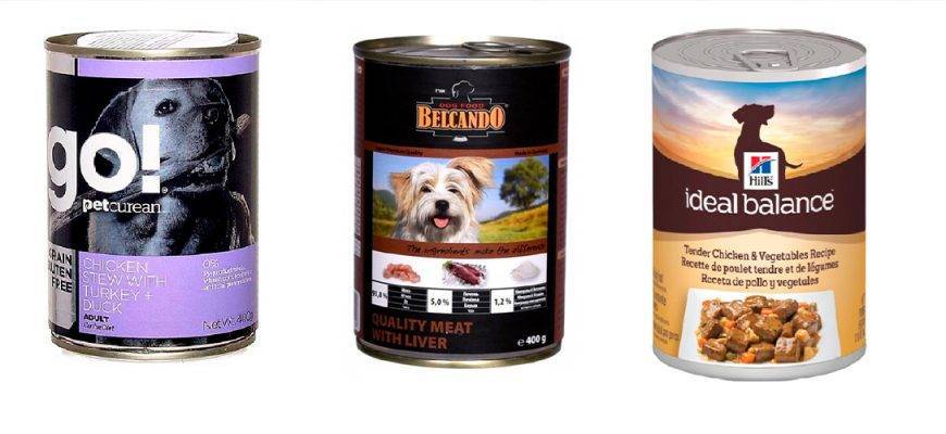 Классы кормов для собак: сравнения, список марок, рейтинг | «дай лапу»
