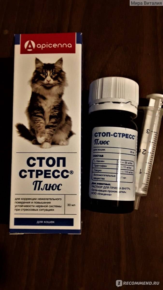 Подробная инструкция по применению препарата стоп стресс для кошек и собак