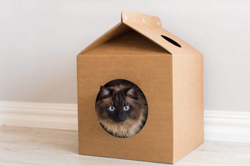 Домик для кошки своими руками из картонной коробки и футболки, многоуровненный. чертежи с размерами, пошаговая инструкция с фото. мастер класс