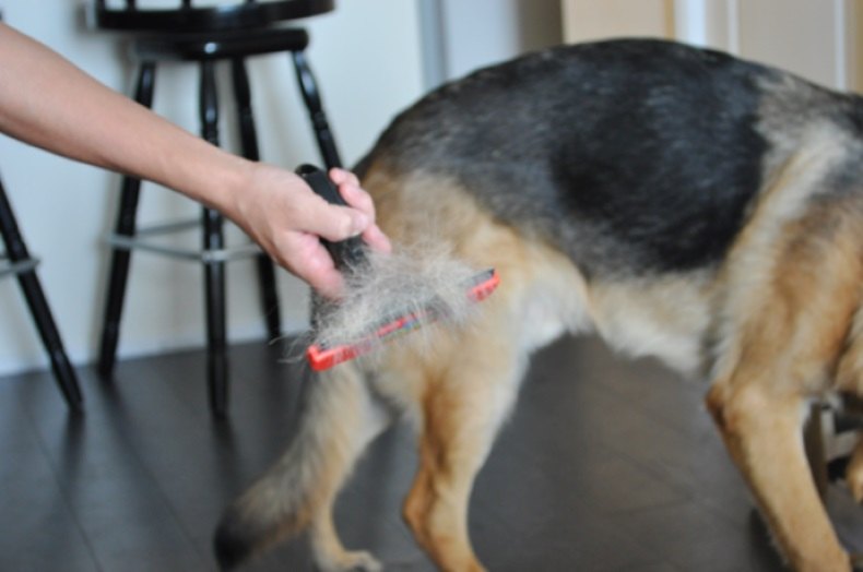 Как удалить остевой волос у собаки