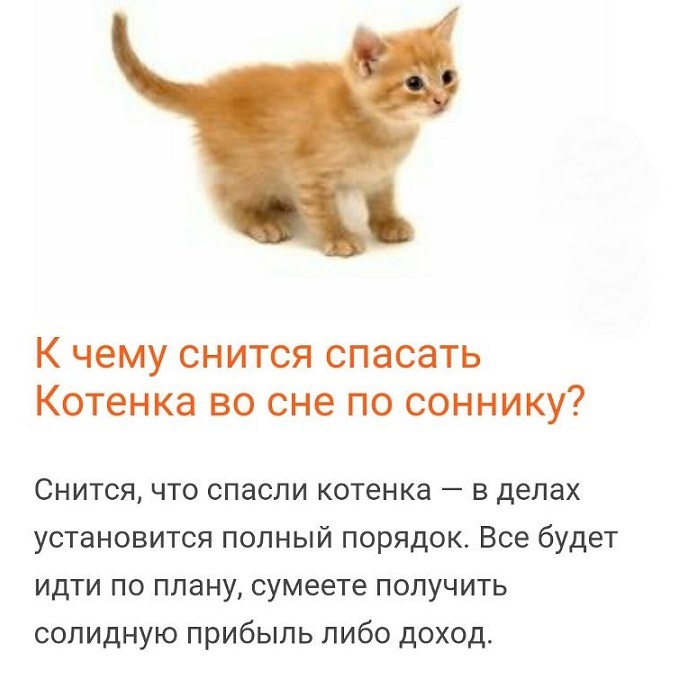 К чему снится кошка с котятами: выбор сонника, значение и толкование сна - tolksnov.ru