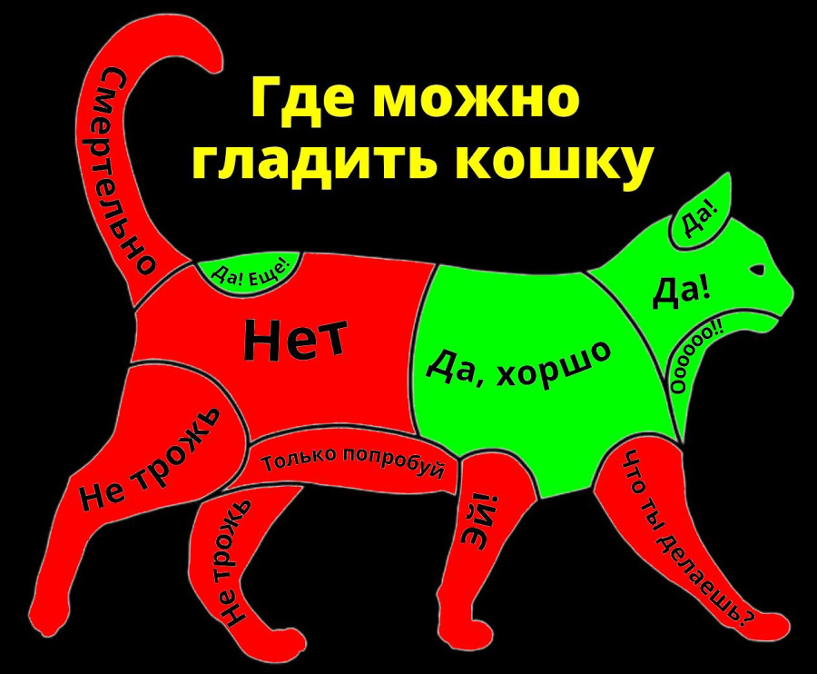 Чем можно гладить. Где можно гладить кошку. Где можно гладить собаку. Как правильно гладить кошку. Где гладить собаку чтобы ей нравилось.