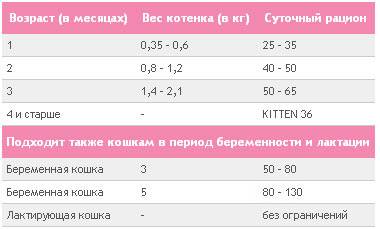 Правила прикорма котят, особенности рациона, оптимальный возраст | блог ветклиники "беланта"