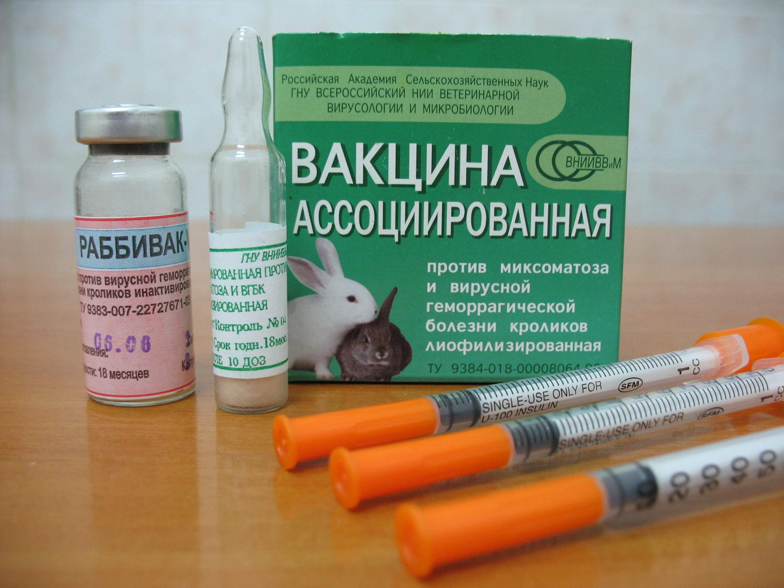 Ассоциированная вакцина от миксоматоза и вгбк для кроликов: инструкция по применению