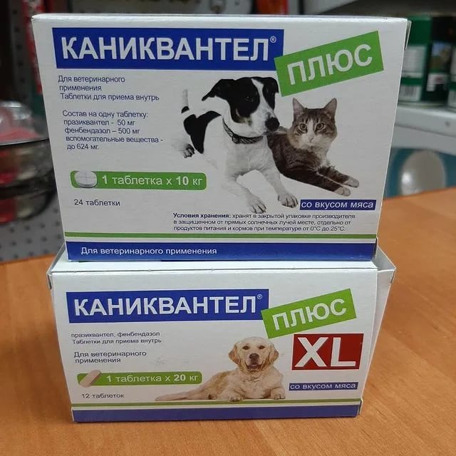 Каниквантел для собак: причины назначения, дозировка, рекомендации ветеринара по использованию - kupipet.ru