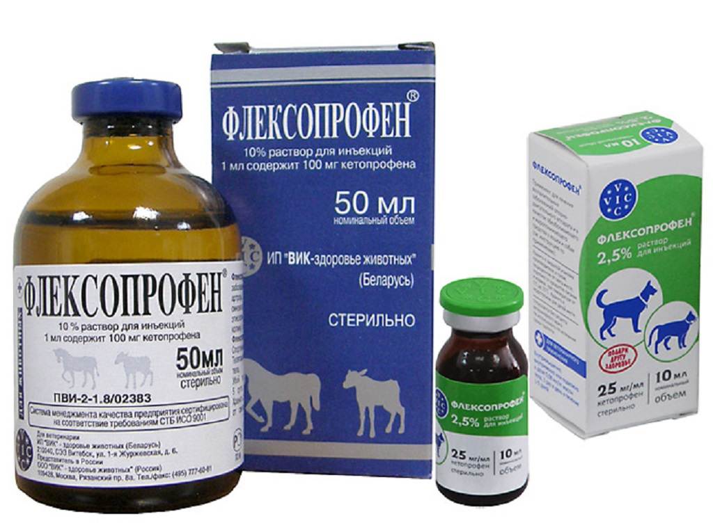 Флексопрофен для собак: инструкция по применению раствора для уколов с дозировкой, побочными действиями и аналогами. можно ли препарат щенку?