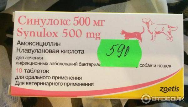 Синулокс 250 мг. таблетки для собак мелких пород (особенности применения, дозы, кратность приема, длительность)