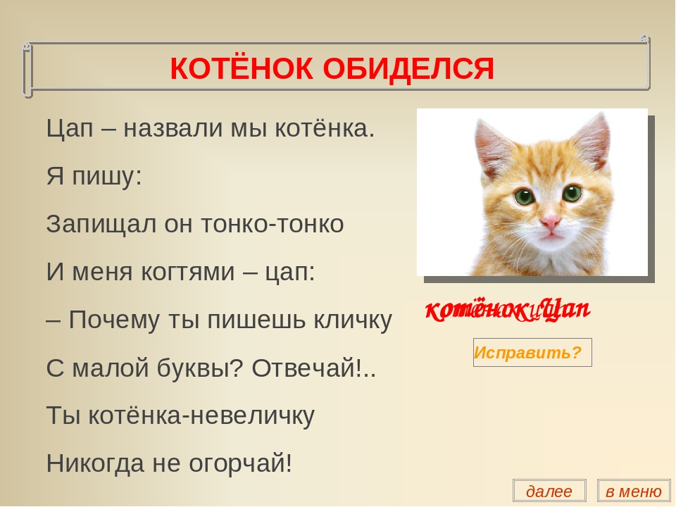 Какое максимальное время может не писать кошка?