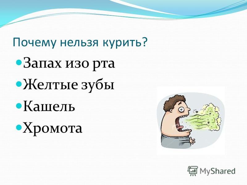 Запах изо рта у кошки: причины и лечение