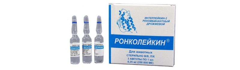 Ронколейкин для кошек: инструкция по применению, отзывы, дозировка, как колоть?