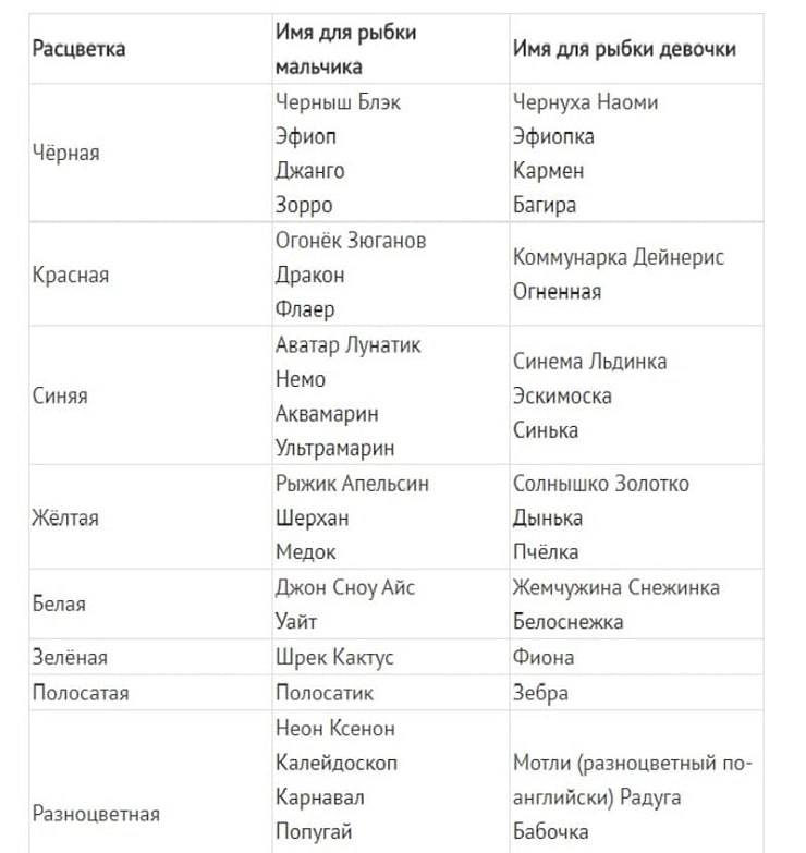 Имена для кроликов