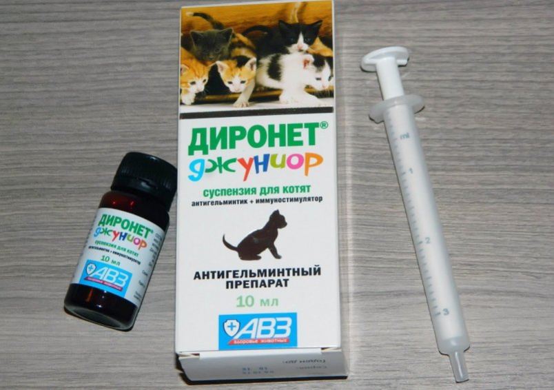 Глобфел-4 для кошек