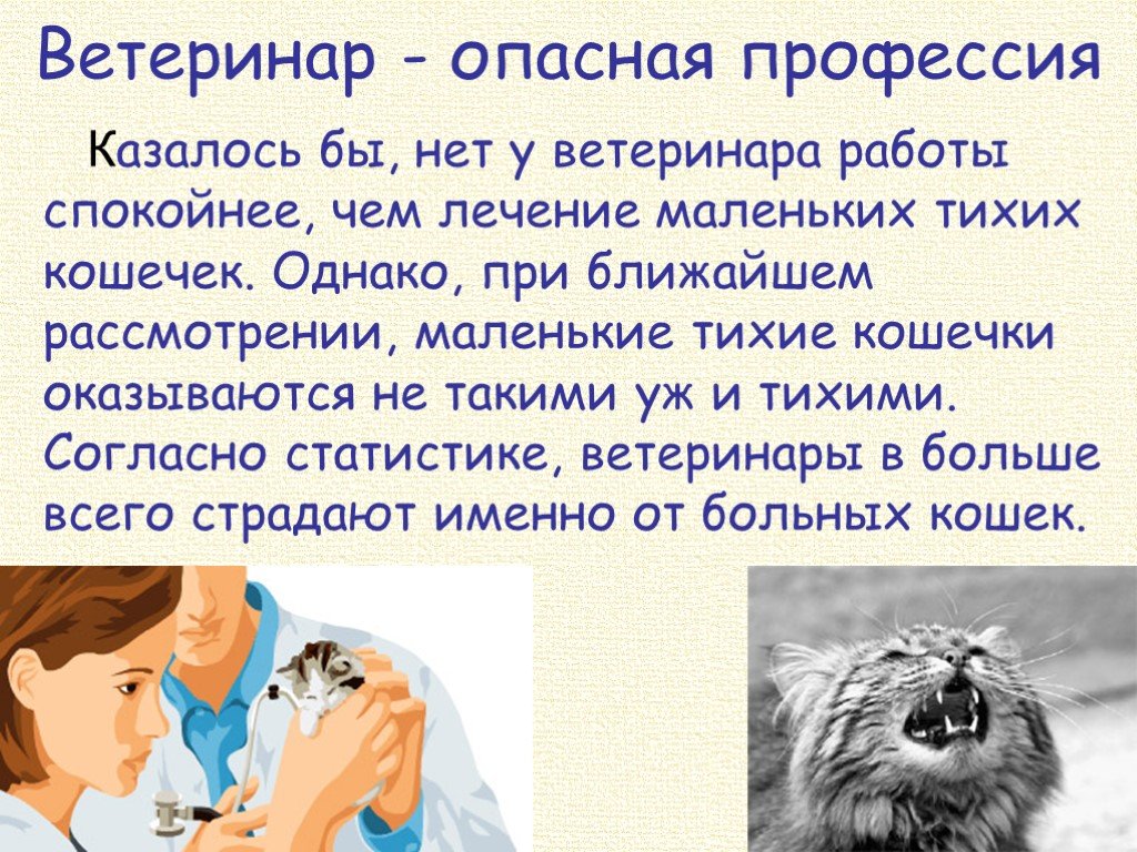 Всё о путешествиях с животными: как поехать, где остановиться и какие есть ограничения - блог onetwotrip