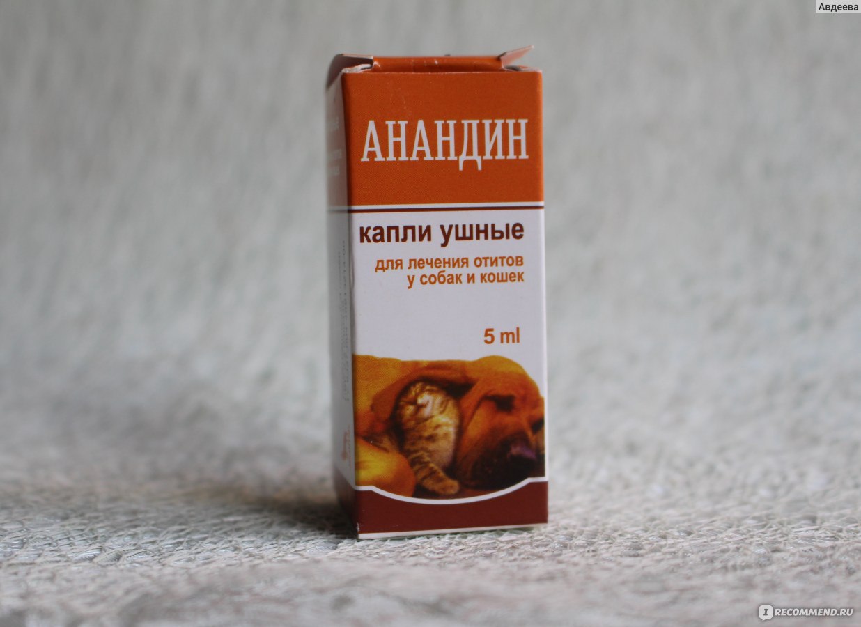 Анандин для кошек - инструкция по применению препарата