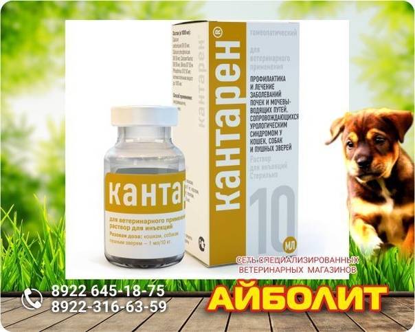 Кантарен для кошек
