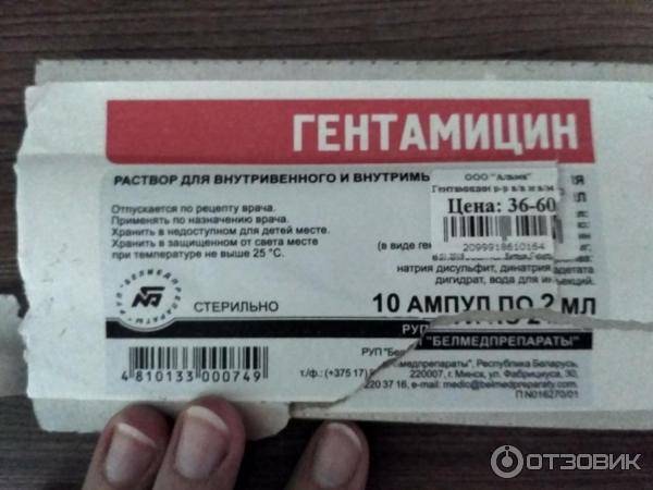 Какие антибиотики можно давать кошкам, список препаратов, дозировка