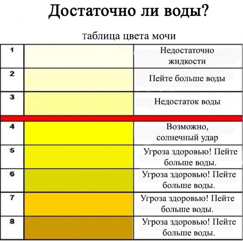 Список основных болезней морских свинок