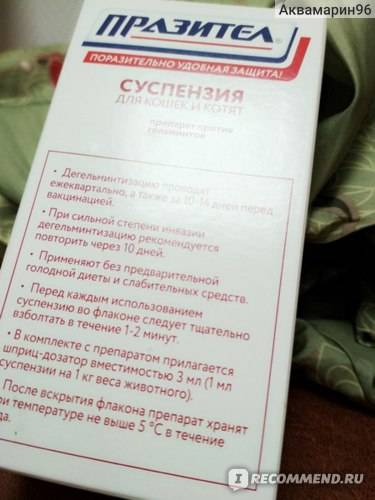 Инструкция по применению суспензии и таблеток «празител» для лечения кошек и котят от глистов, состав и дозировка