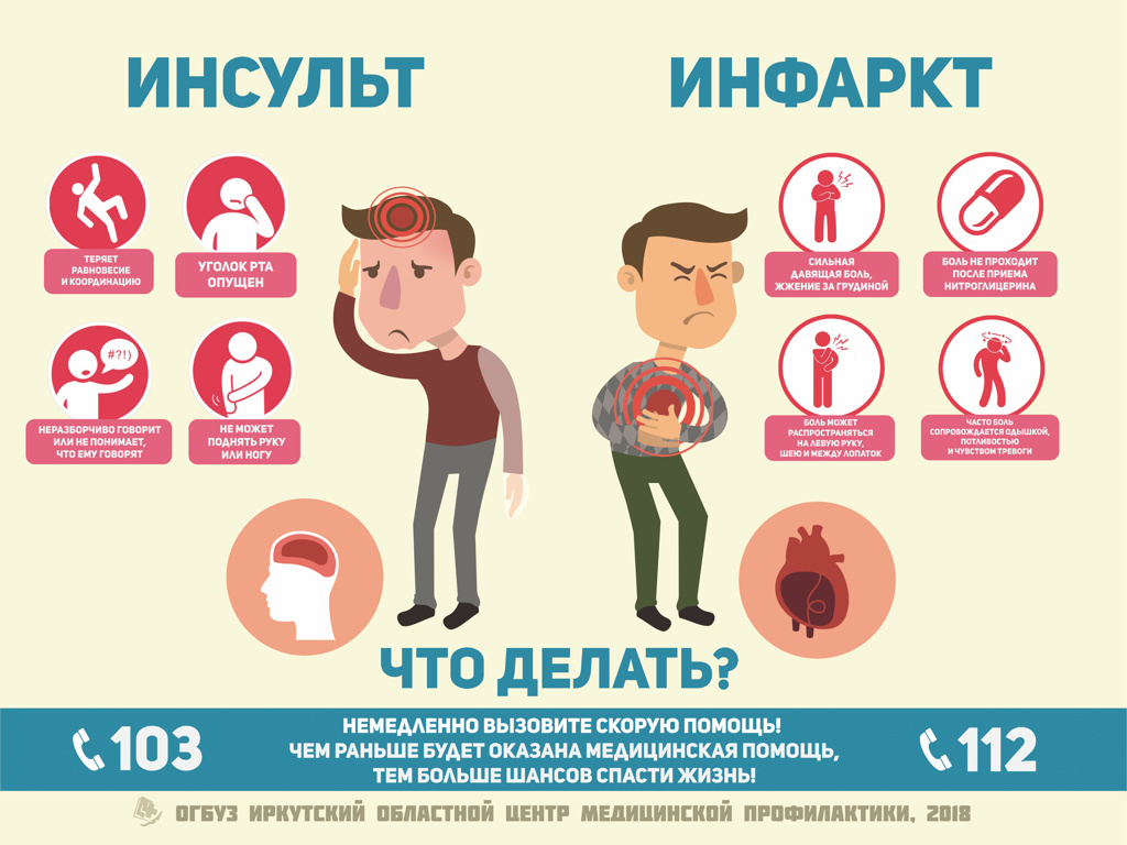 Инсульт у собаки: симптомы и лечение, прогнозы, питание и восстановление в домашних условиях, как проявляется микроинсульт, чем лечить, препараты