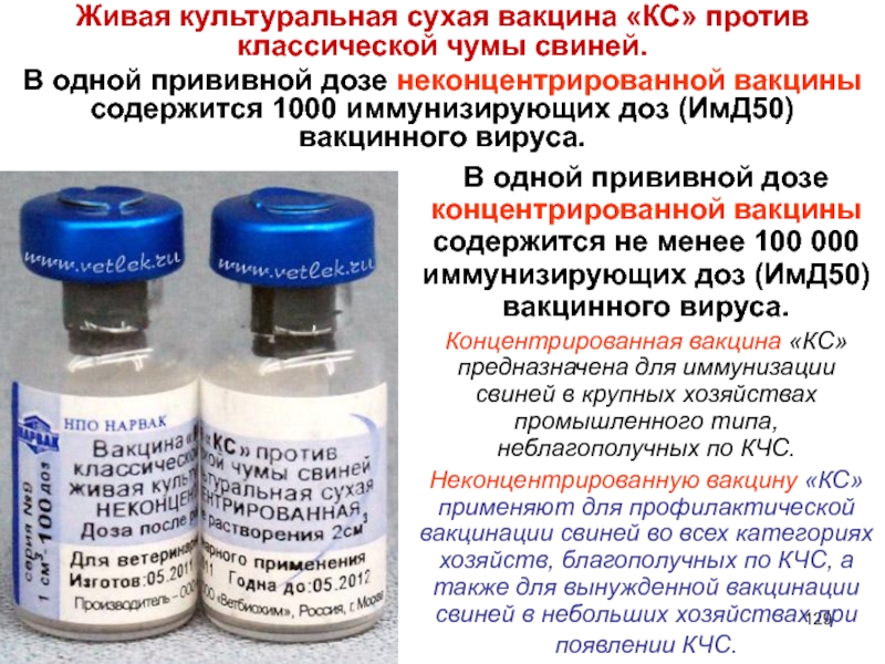 Полинейропатия ️: симптомы, признаки и причины, диагностика и лечение