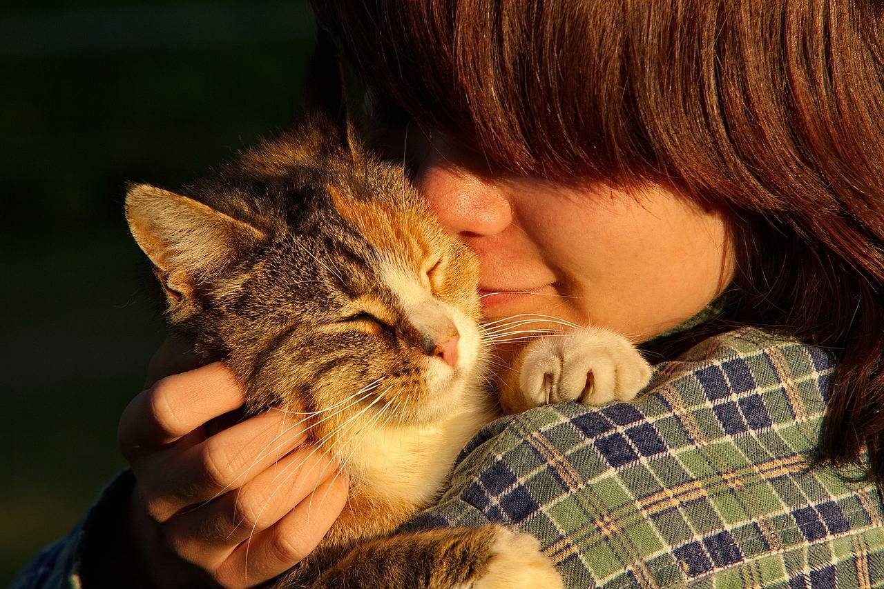 5 признаков, что ваша кошка счастлива и довольна жизнью